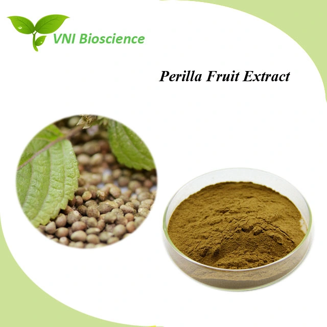 Kosher & Halal Certified 100% Natural 10: 1 Perilla Leaf Extract