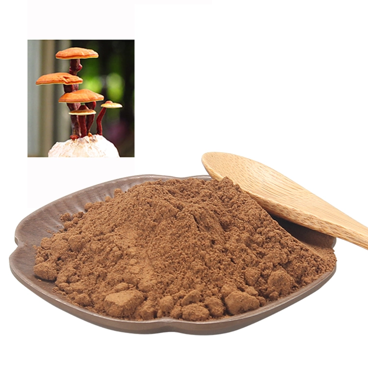 Best Quality Ganoderma Mushroom Spore Extract Organic Reishi Mushroom Spore Extract Powder for Control Immune System