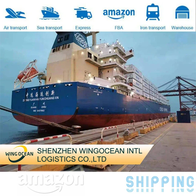 DDP Sea Shipping Logistics Company Door to Door Delivery Service China nach Großbritannien/Deutschland/Frankreich/Spanien/Italien