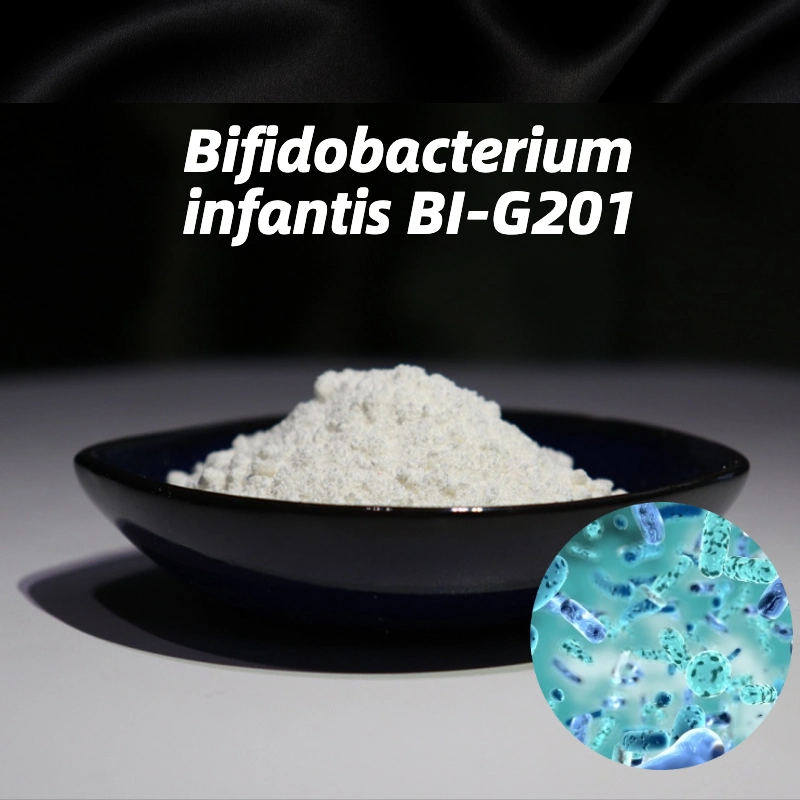 High Potency of Probiotic Powder with Bifidobacterium Infantis