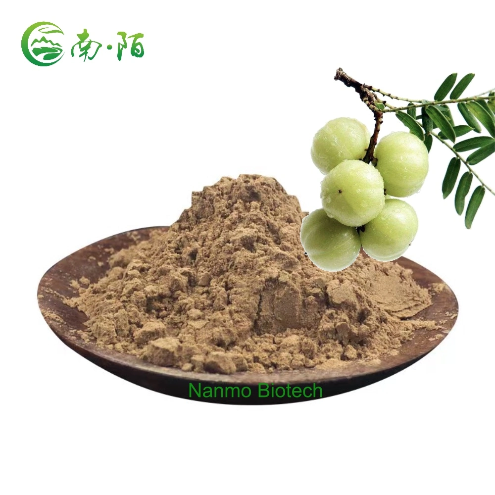 NATIRAL Herb Powder Indian Goseberry Phyllandus Emblica Amla للشعرة العناية