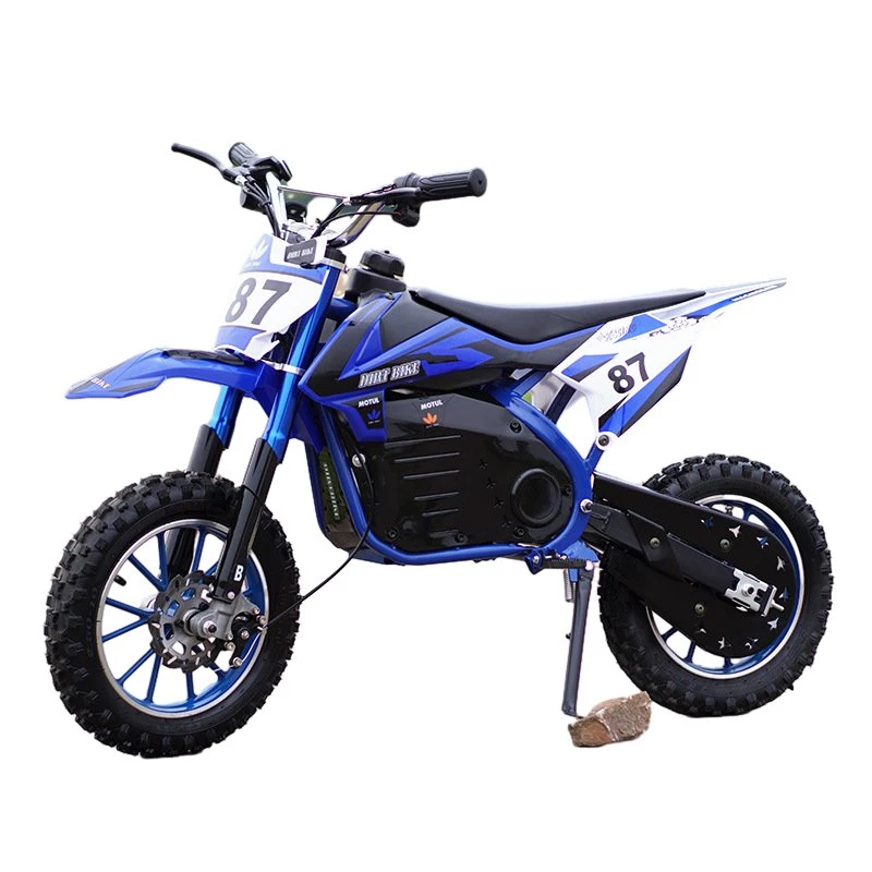 800W Super Powerful Electric Dirt Bike