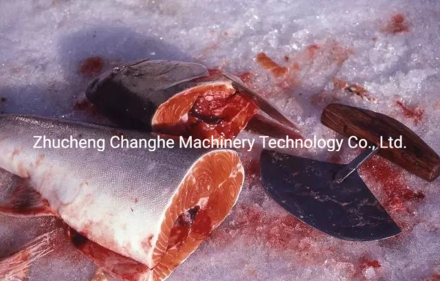 Lado Changhe Manual serra óssea Cortador óssea 1,5 kw 1650 Peixes Máquina de serra de fita com 6 lâminas