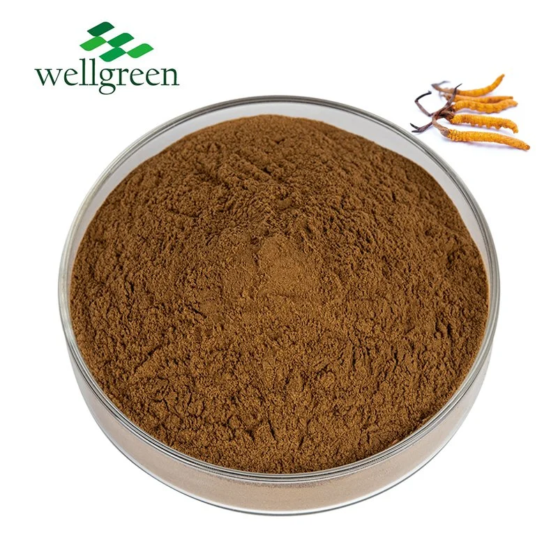 Wholesale Natural Pure Cordyceps Sinensis Extract Polysaccharides