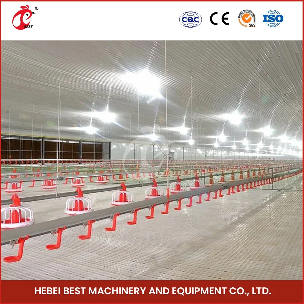 Bestchickencage Broiler Deep Litter System Custom China Feedstuffs Uniform Distribution Poultry Farm Equipment Broiler Deep Litter System Manufacturer