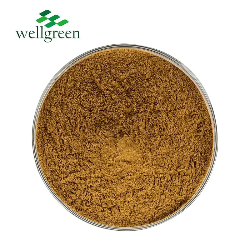 Wellgreen Nutritional Supplement Herbal Plant Valerian Officinalis Root Extract Valeric Acid Powder