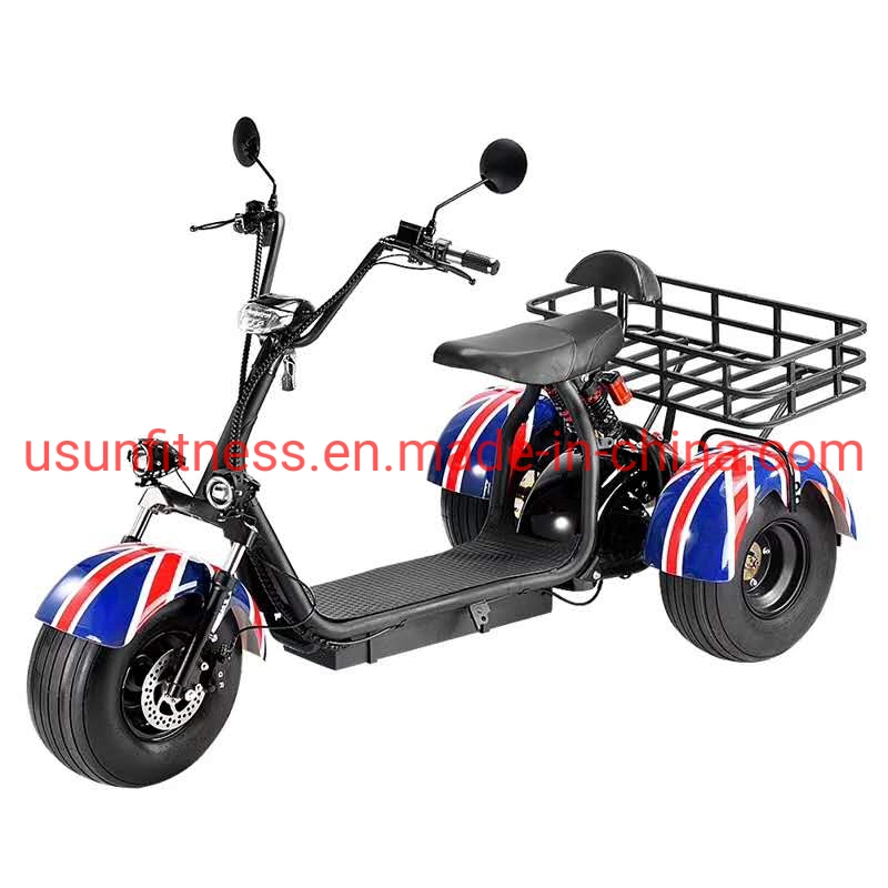 Véhicules spéciaux pour les fermes et jardins 3 roues scooter électrique et de scooters Electric Motorcycle Tricycle Cargo