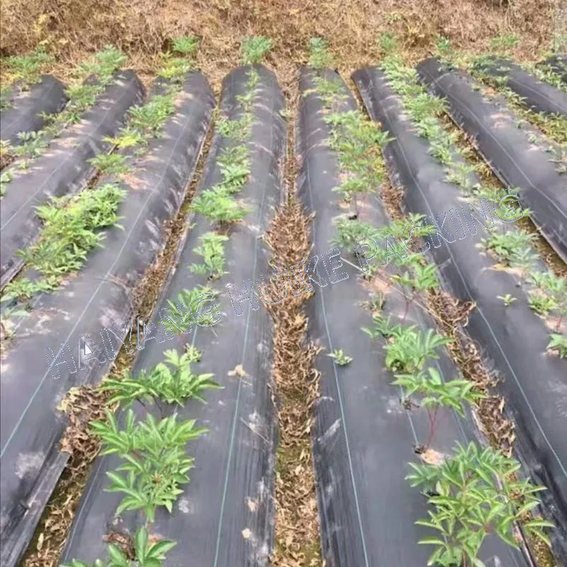 Cheap Black UV Plastic Agriculture Agrotextile Anti Weed Mats