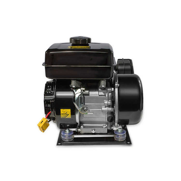 Electric Vehicle Extended Range Small Gasoline Generator