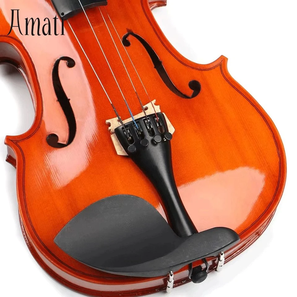 Online Shop Hot Sale Brazil Wood Cheaps Accessory with Cases Violin