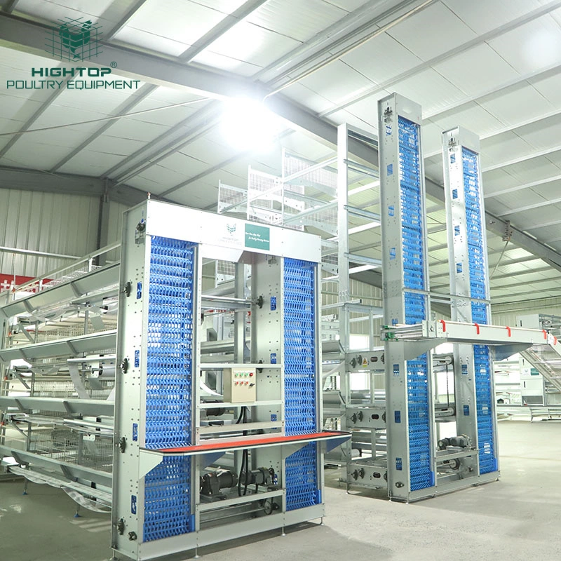 3D Tour Automatic Chicken Layer Cage For Egg Production Farm