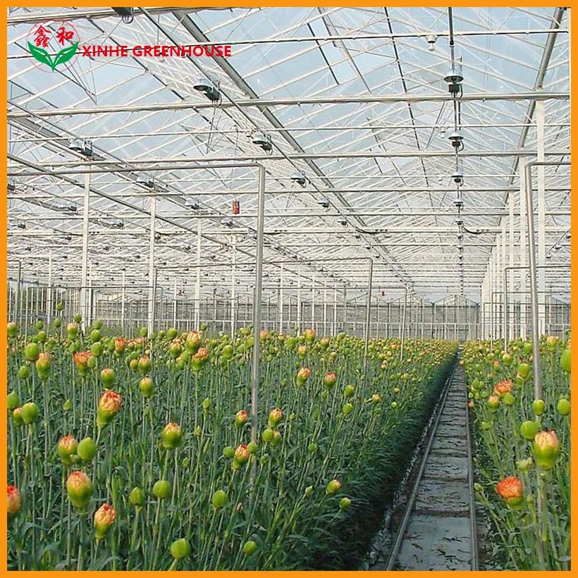 Customized Insulating Float Hollow Tempered Glass Greenhouse/Aluminum Green House with Cooling System/Inner Shading System for Agriculture