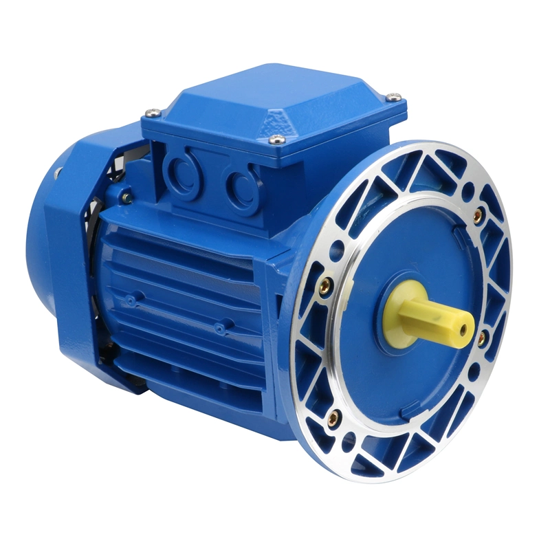 Y2 Three Phase Professional Factory Supply AC Worm Gear Motor