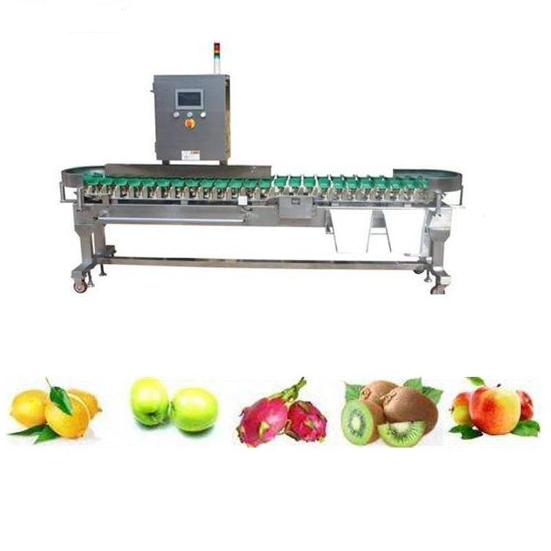 Alimentos Peso Fruitprawn Sorter Máquina de classificação