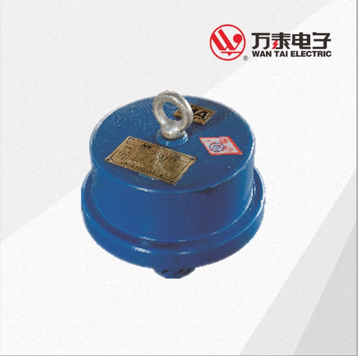 Infrared Temperature Sensor for Belt Conveyor