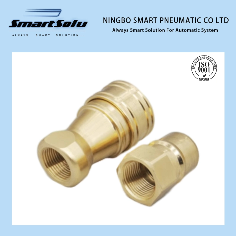 Brass Double Self-Sealing Female Thread Hydraulic Quick Connector