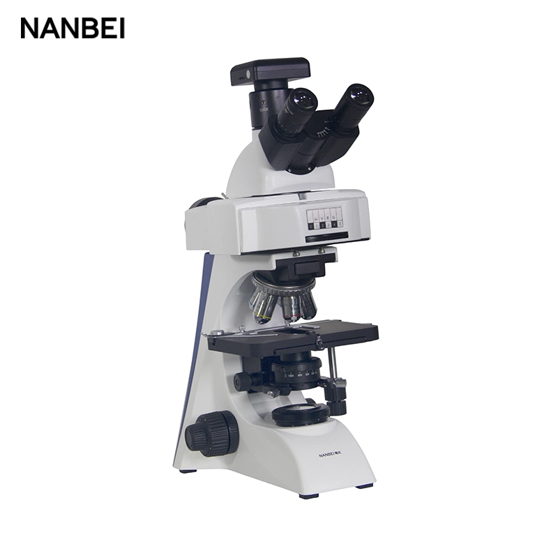 Optical Lab Upright Fluorescence Biological Microscope with Adapter and Slides