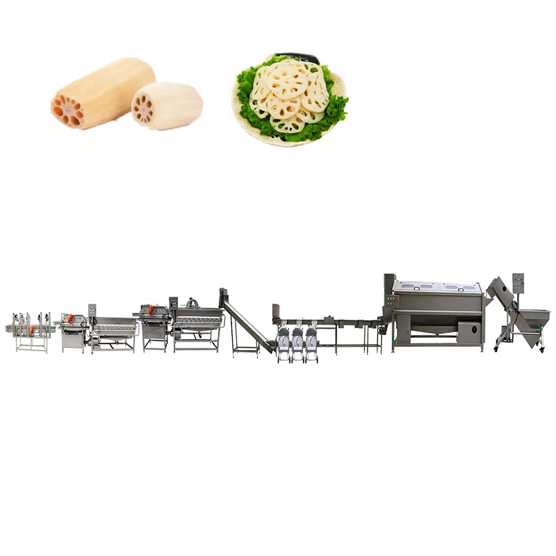 Potato Taro Carrot Radish Roots Vegetable Washing Cutting Cleaning Processing Line