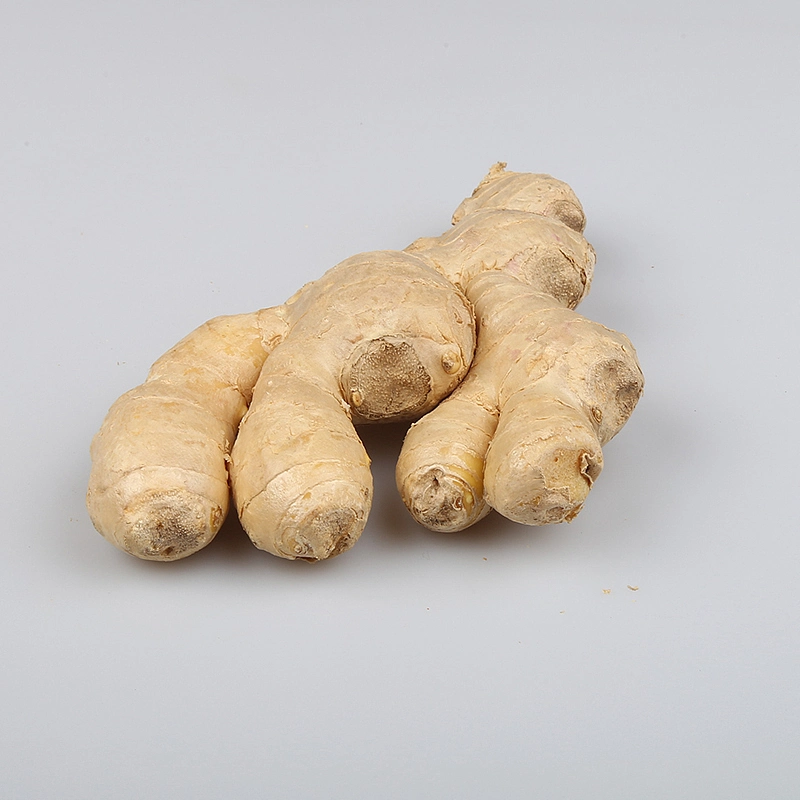 2020 Hot Sales Fresh Ginger