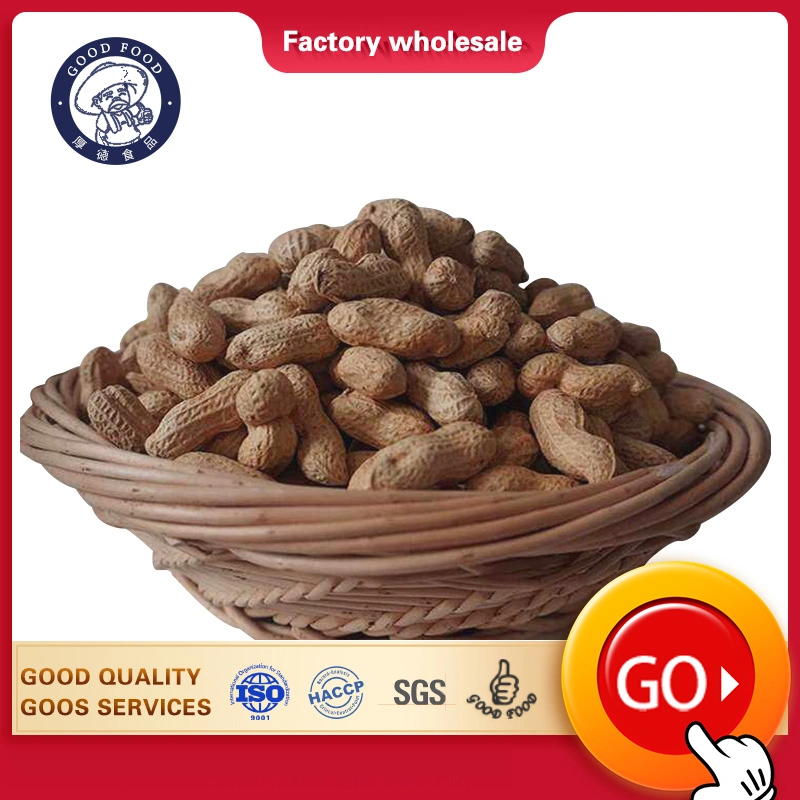 Китайский завод Top Quality Raw Peanuts in Shell Roasted Peanut