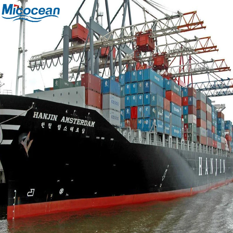 China Professional Ocean Freight Forwarer FCL/LCL Shipping Agent to Australia