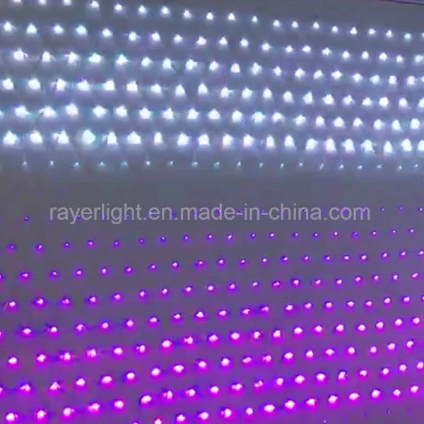 Digital Programmable Lighting Decorationchristmas Lights LED Net Light