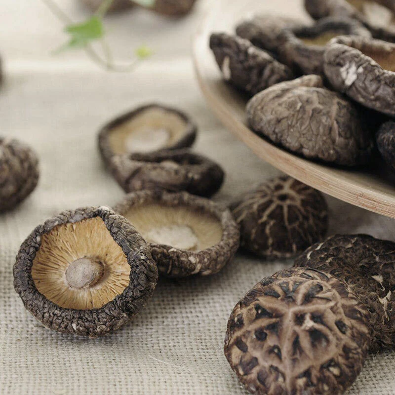 China Großhandel gesunde Lebensmittel getrocknete Pilz mit Shiitake