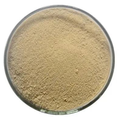 Herbal Extract Powder Gentian Root Extract 10%-80% Gentiopicroside HPLC