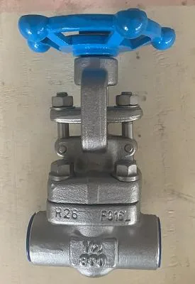 3/4" Gate Valve Sw A105 Trim #5 OS&Y Standard Port 800# Gate Valve