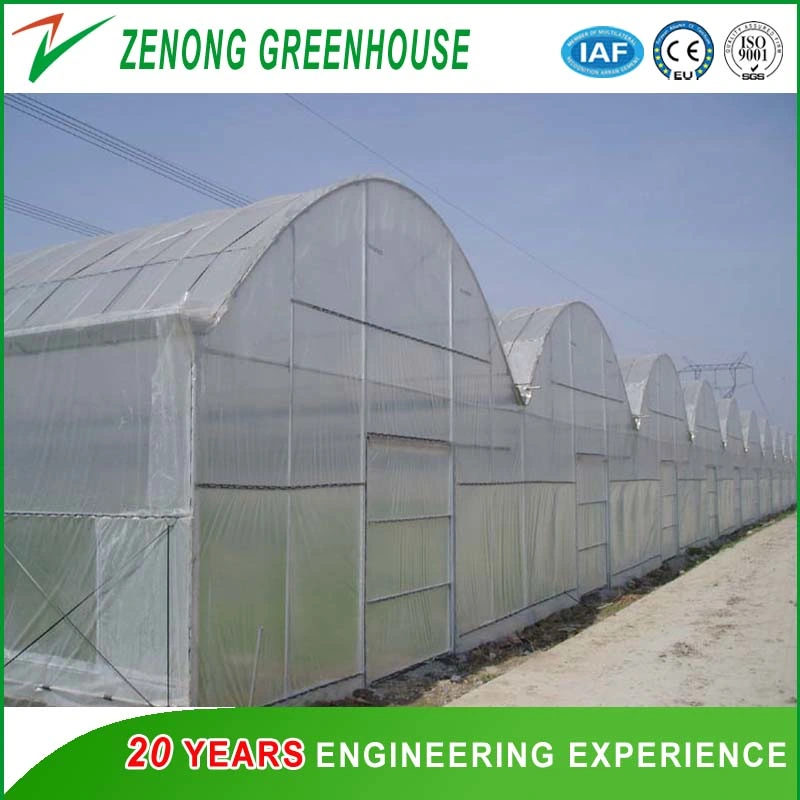 Poly-Tunnel Plastic Film Greenhouse with Ventilation Equipment