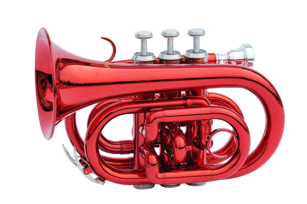 Wholesale Trumpet. Brass Musical Instrument, Made in China