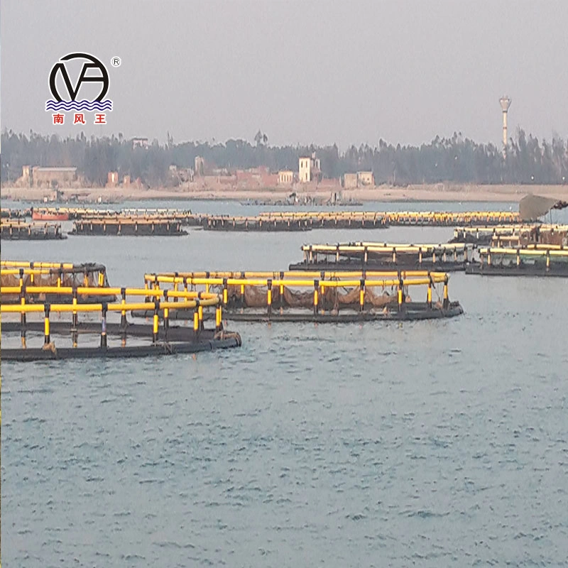 Manufacturer of Simple Circular HDPE Cage Tilapia Breeding Equipment