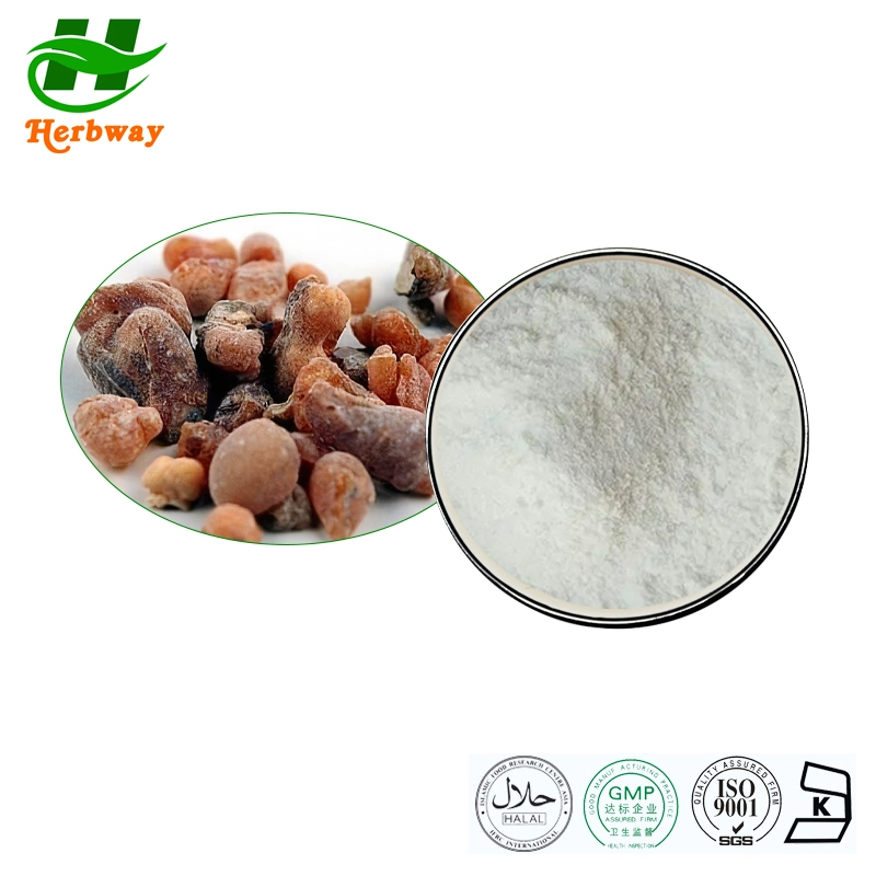 Plant Extract Free Sample Boswellia Carterii Powder Boswellia Serrata Extract 65%Boswellic Acid