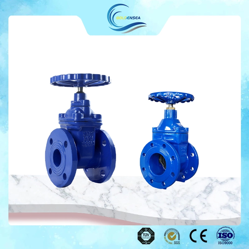 High Performance Vale Pn10 Pn16 Looks Good Flanged Gate Valve for Water