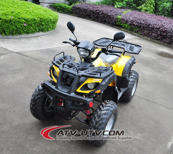 150cc 200cc 250cc 300cc ATV Quad Bike Preis 125cc