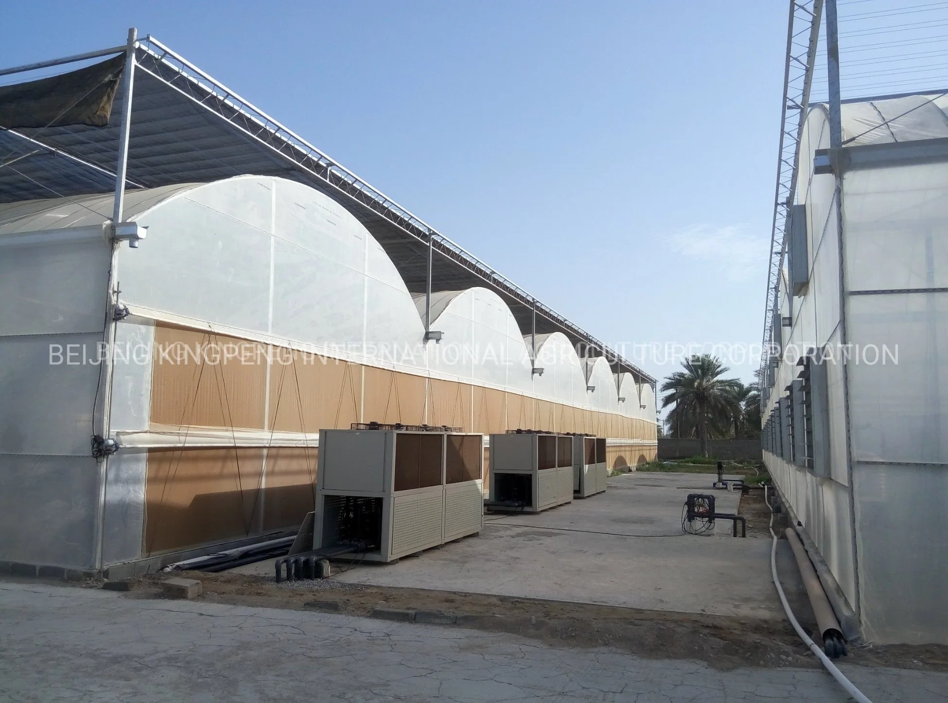 PC Side/Poly House و PE Roof Greenhouse للطاطس النباتية فراولة الخيار