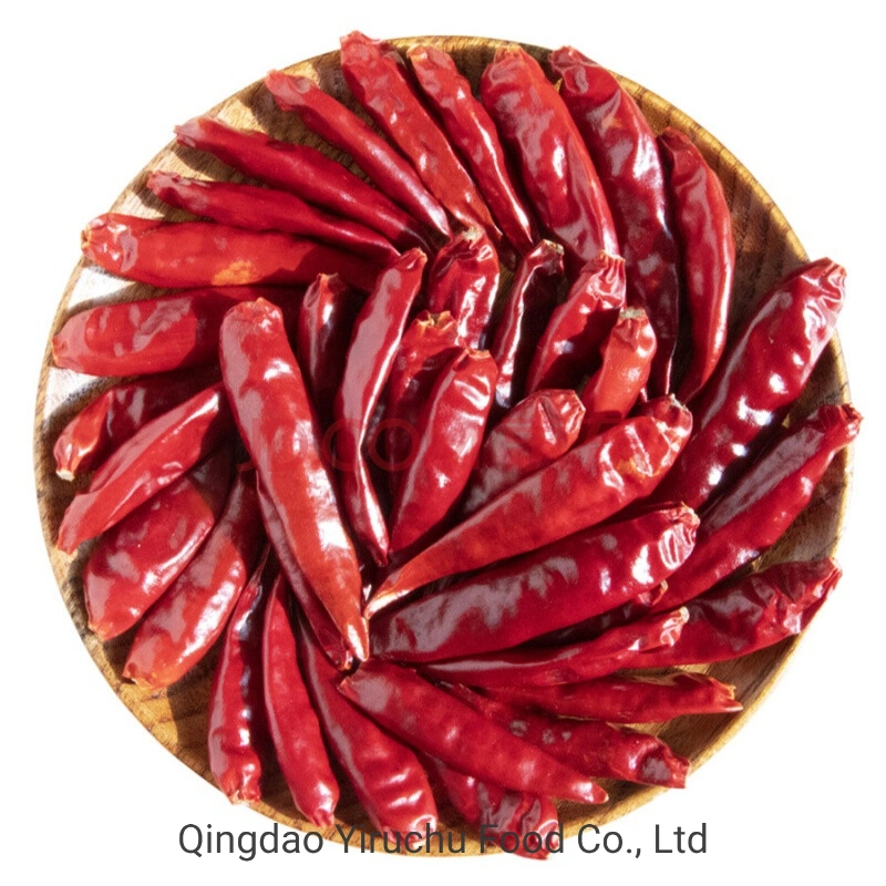 Red Chilli Exported to Domestic and Overseas Markets