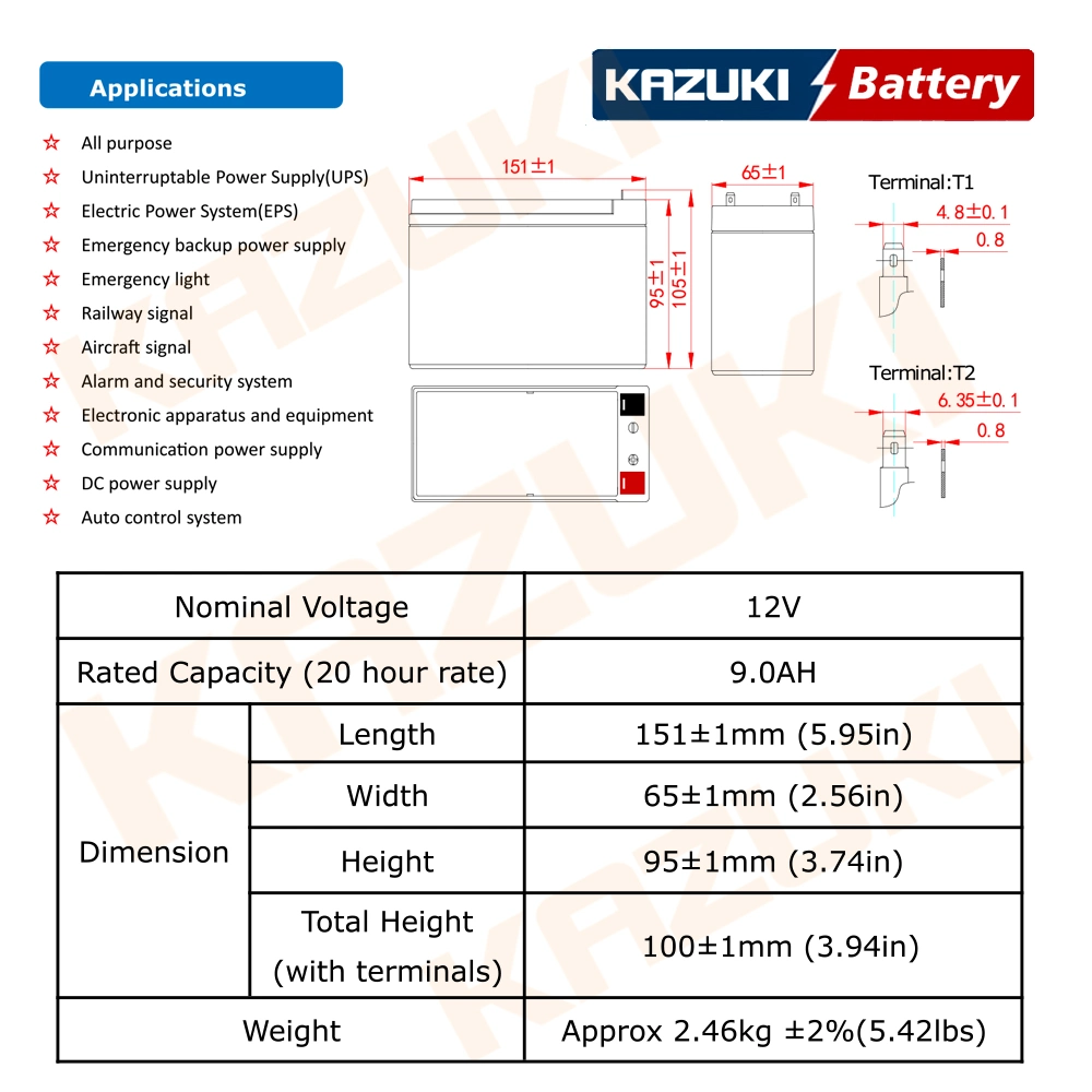 12V9ah 6FM9 Capacity 20hr for UPS/ Telecom/ Backup Power Lead Acid Battery