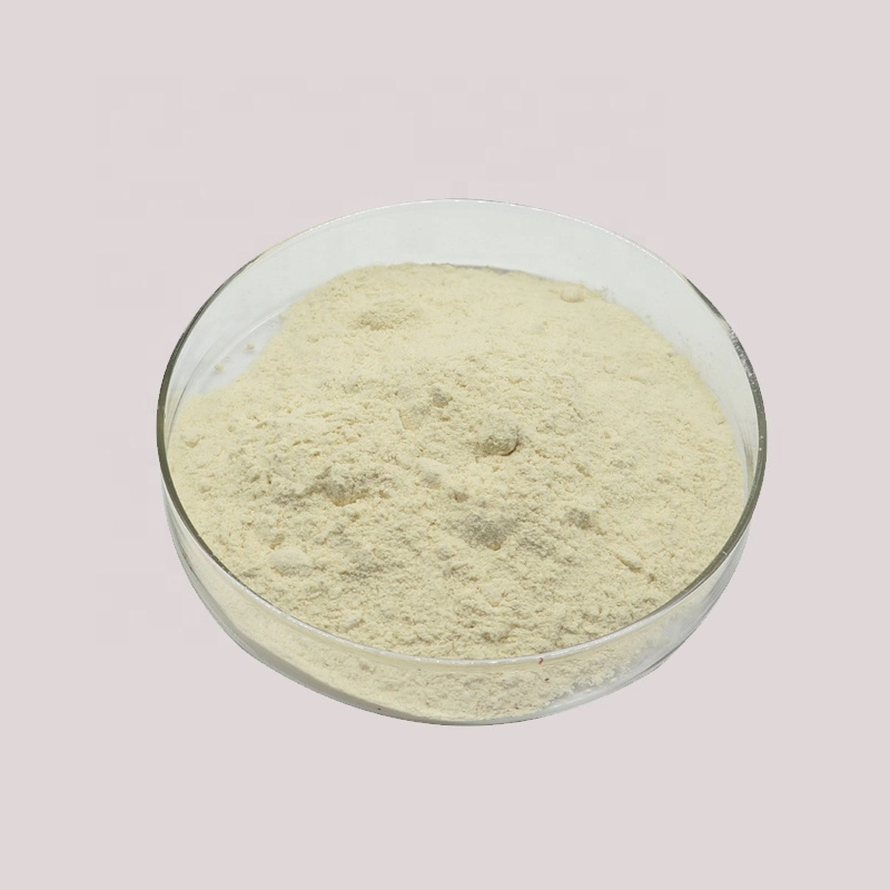 Food Grade Yellow Powder 80/200mesh Best Price Xanthan Gum