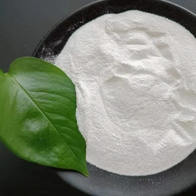 Le carbonate de sodium bicarbonate de soude dense de 99 pour cent de Na2CO3 CAS 497-19-8 de haute pureté