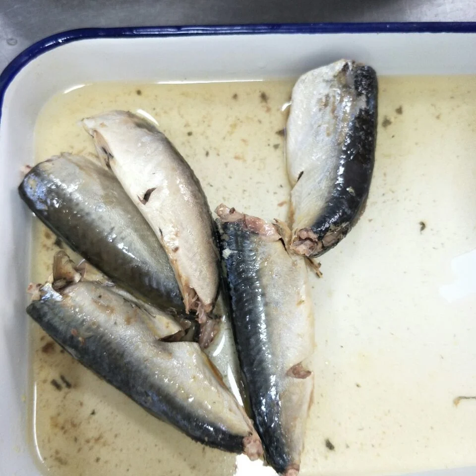 Canned Mackerel Fish in Brine