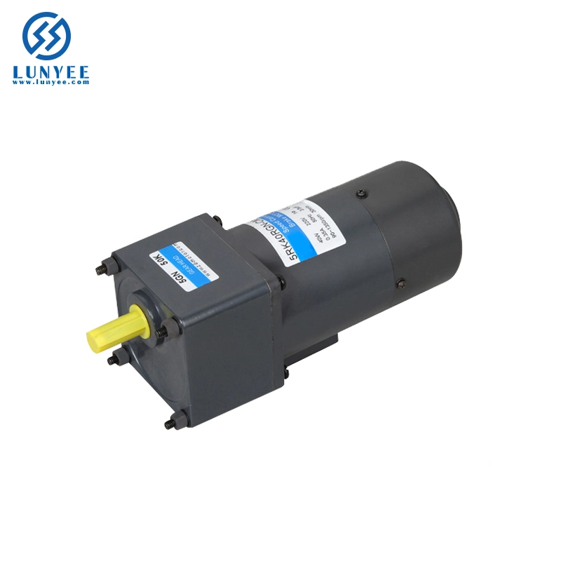 220V AC Motor 15W High Torque Micro Speed Control Motor