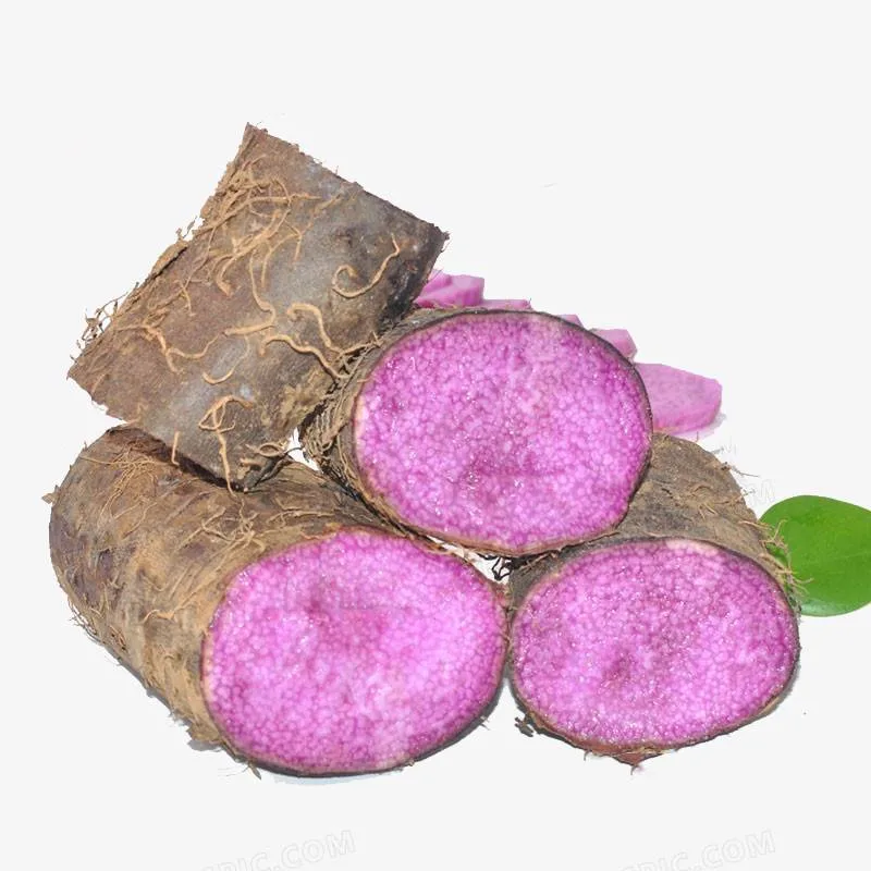 Chino dulce de camote Morado, violeta, el ñame con buena Quaility