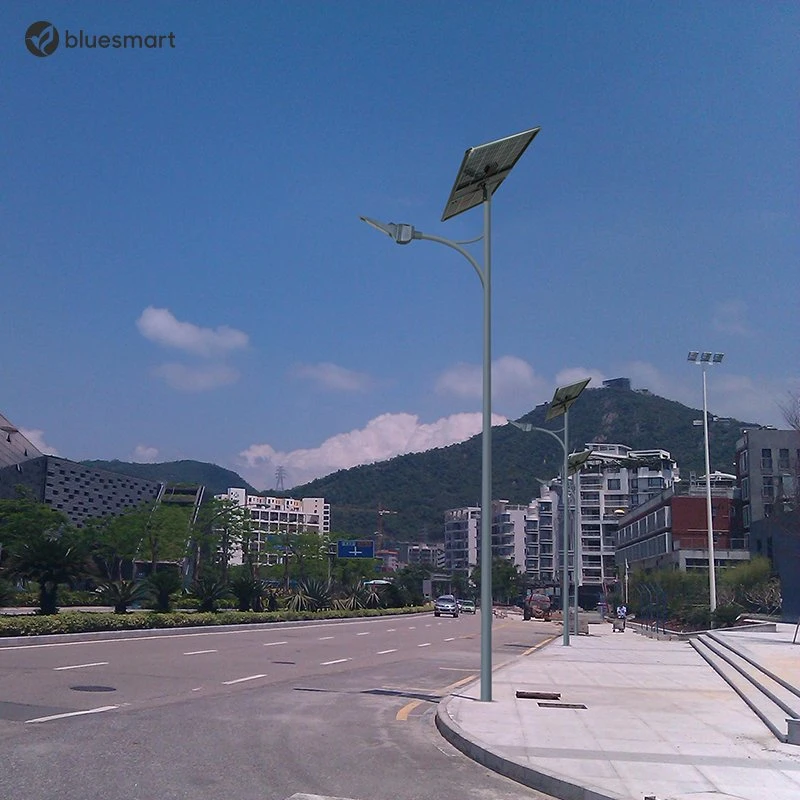 Bluesmart Solar Professional China Manufacturer of 50W All in Two Solar Street Light