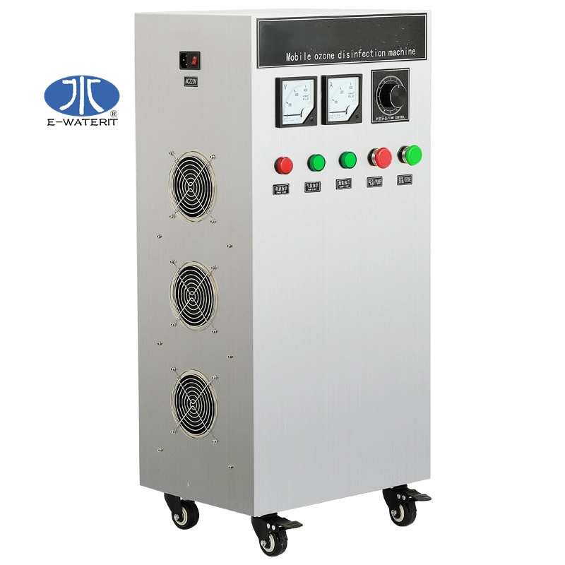 50g20g10g5g3g Ozone Generator for Swimming Pool Water Purification Drinking Water Disinfection Sewage Treatment