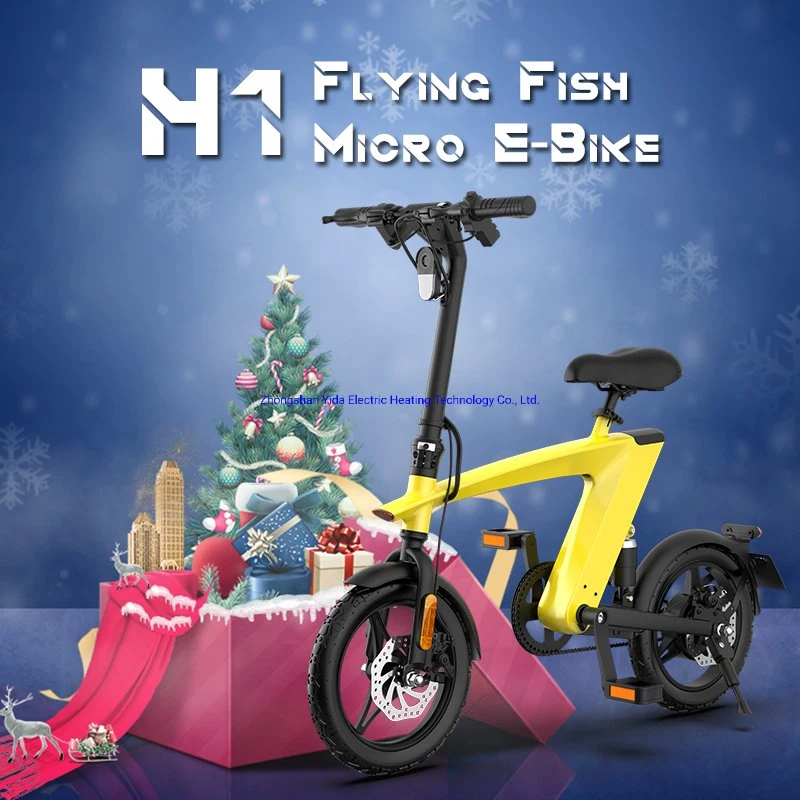 Neues Modell chinesischen 250W Motor 10Ah Batterie Long Range Electric Fahrrad für 2022 Weihnachten