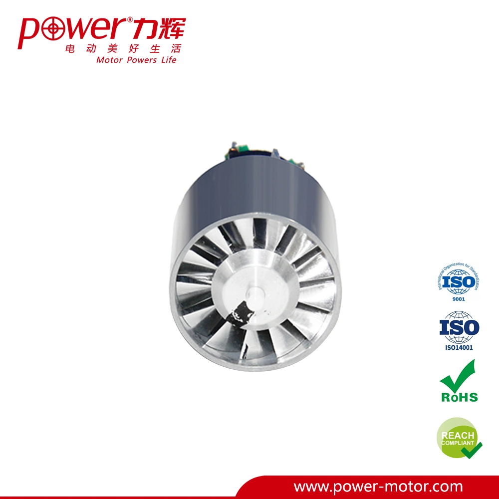 220V High Speed and High Efficiency Brushless DC Motor for Hair Dryer BLDC Motor