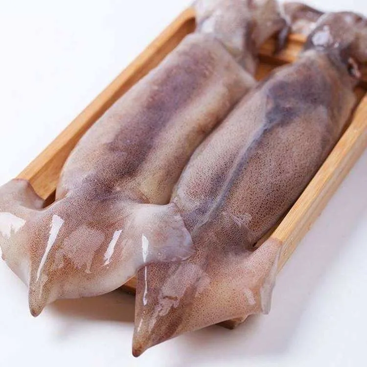 Frozen Squid with Vetetable String High quality/High cost performance Health Seafood Lllex Giant Squid Product Japanese Squid