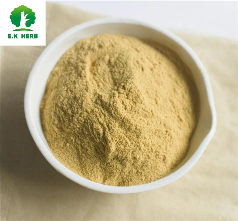 E. K Herb Plant Extract Factory Monk Fruit Extract Food Grade Water Solubility Nutritional Sweetener Siraitia Grosvenorii Monk Fruit Sweetener Powder Mogroside