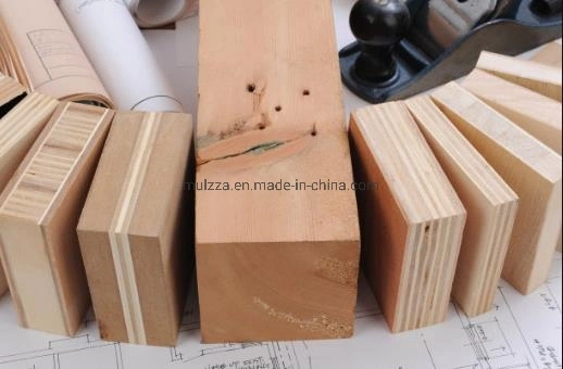 Folheado de madeira/Poplar/Birch Madeira contraplacada de mobiliário